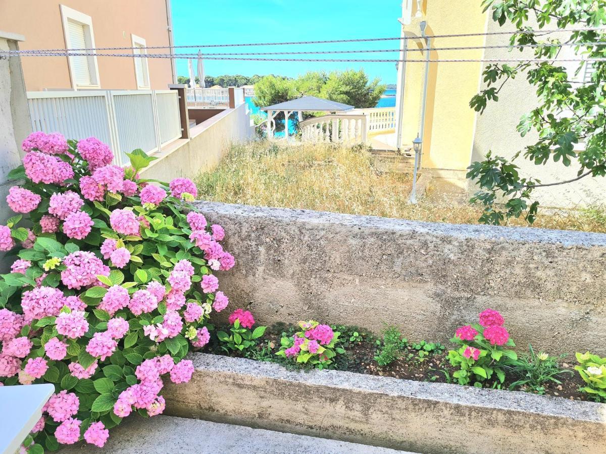 Apartment Ivana Brodarica  Dış mekan fotoğraf