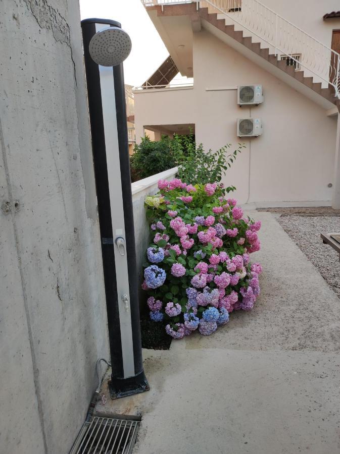 Apartment Ivana Brodarica  Dış mekan fotoğraf