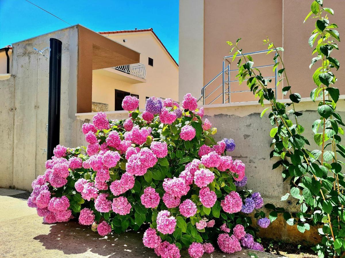 Apartment Ivana Brodarica  Dış mekan fotoğraf